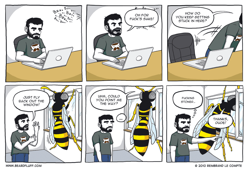 How high do you have to be, not to find the window? Stoner bugs, man. They're idiots.